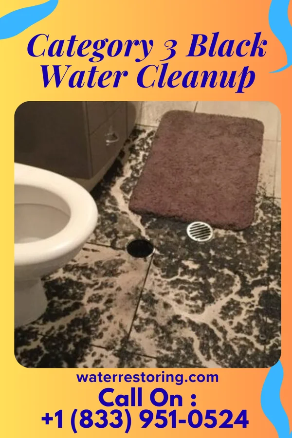 Category 3 Black Water Cleanup in Pinebrook, TX