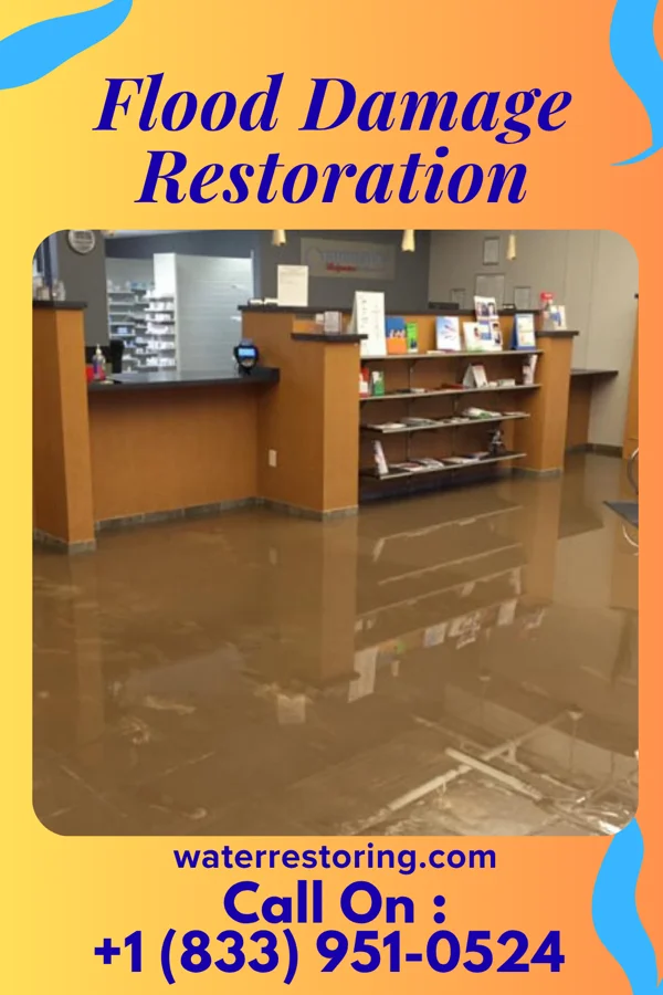Flood Damage Restoration in Pinebrook, TX