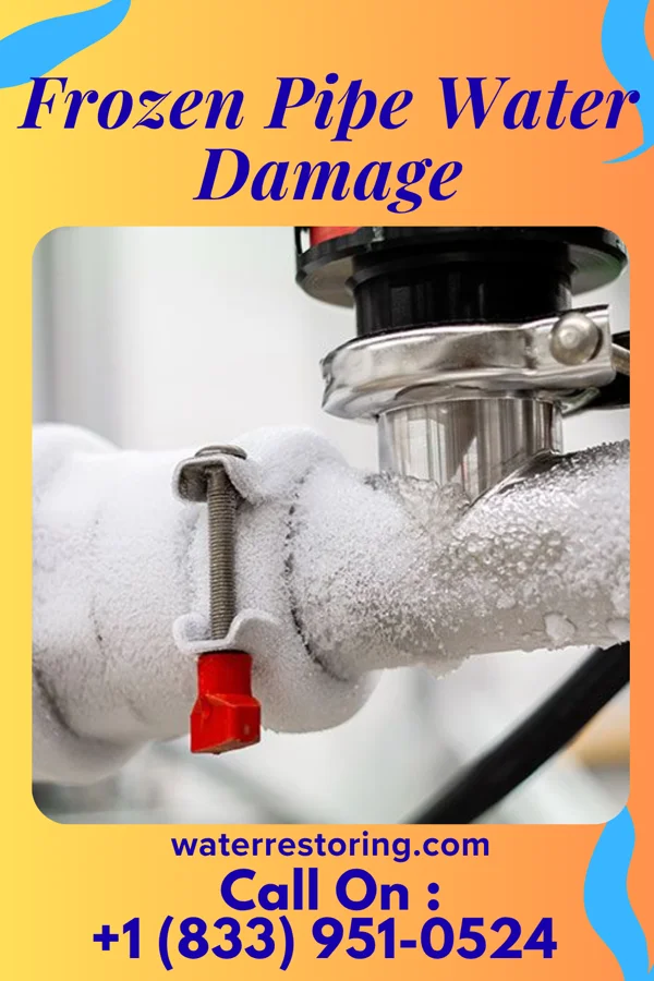 Frozen Pipe Water Damage in Pinebrook, TX