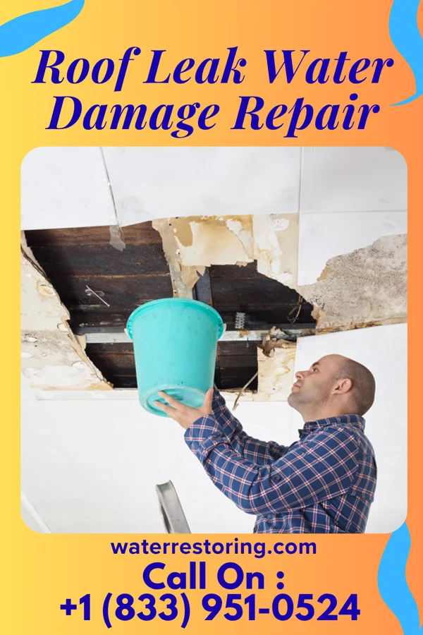 Roof Leak Water Damage Repair in Pinebrook, TX