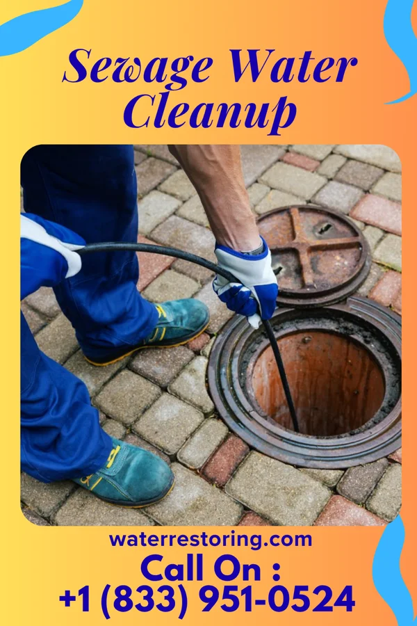 Sewage Water Cleanup in Pinebrook, TX